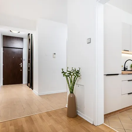 Vistula L A Lovely Place To Be 크라쿠프